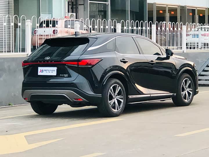 Фото 4 - Lexus RX