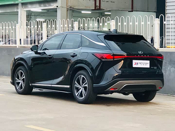 Фото 6 - Lexus RX