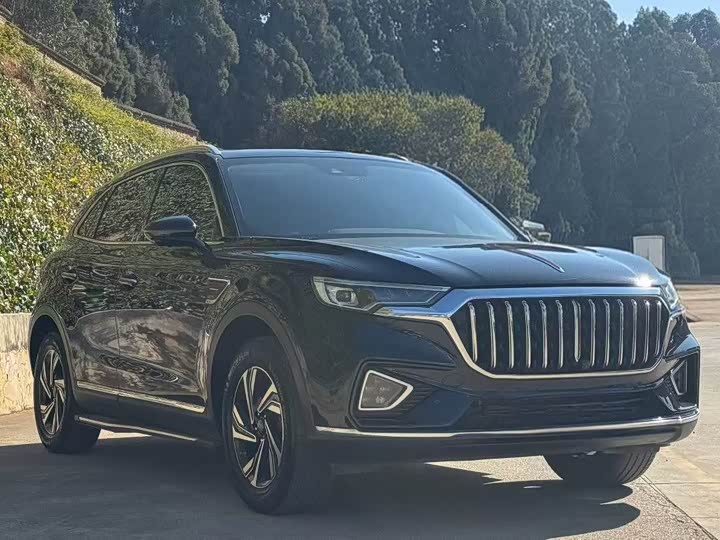 Photo 3 - Hongqi HS5