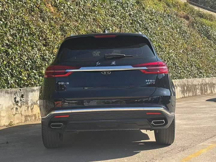 Photo 7 - Hongqi HS5