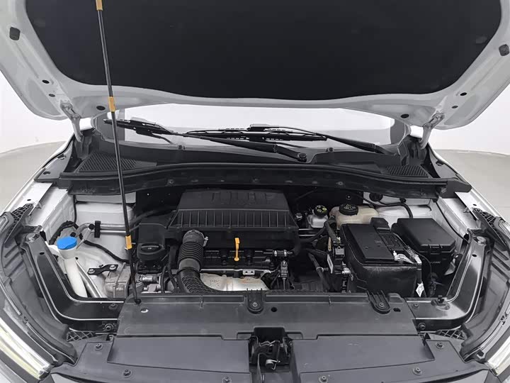 Фото 6 - Roewe RX3