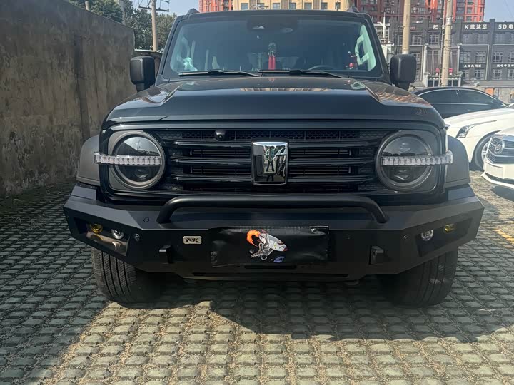 Фото 2 - Tank 300