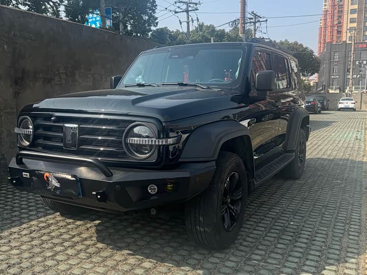 Фото 3 - Tank 300