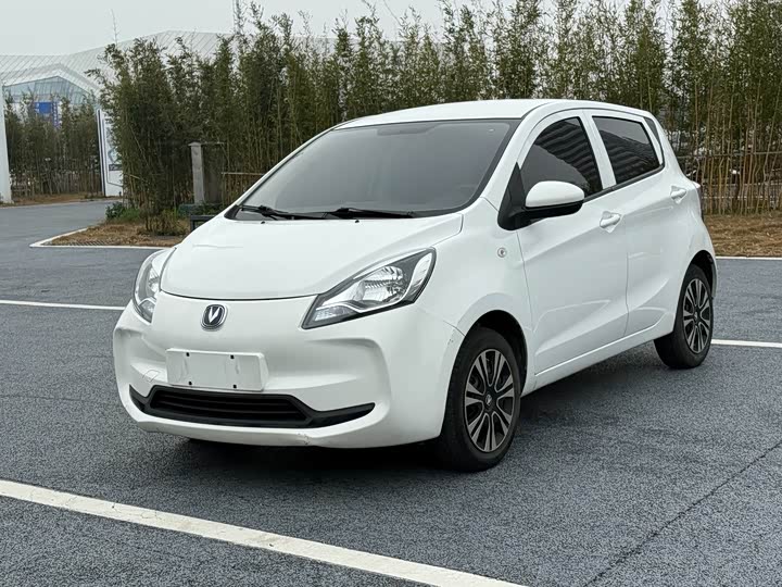 Фото 1 - Changan BenBen E-Star