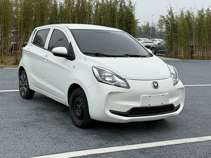 Фото 3 - Changan BenBen E-Star