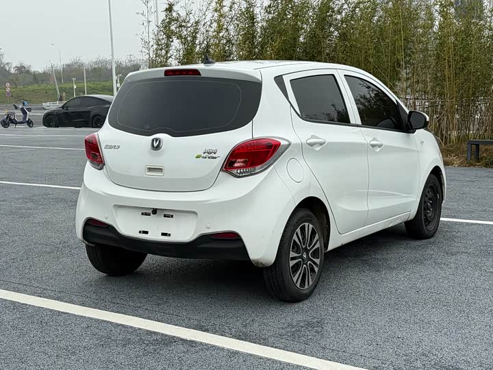 Фото 4 - Changan BenBen E-Star