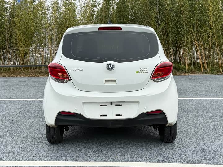 Фото 5 - Changan BenBen E-Star