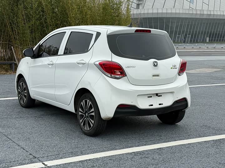 Фото 6 - Changan BenBen E-Star