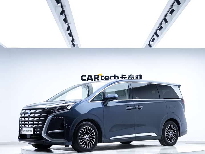 Фото 1 - Denza D9