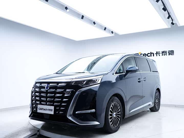 Фото 8 - Denza D9