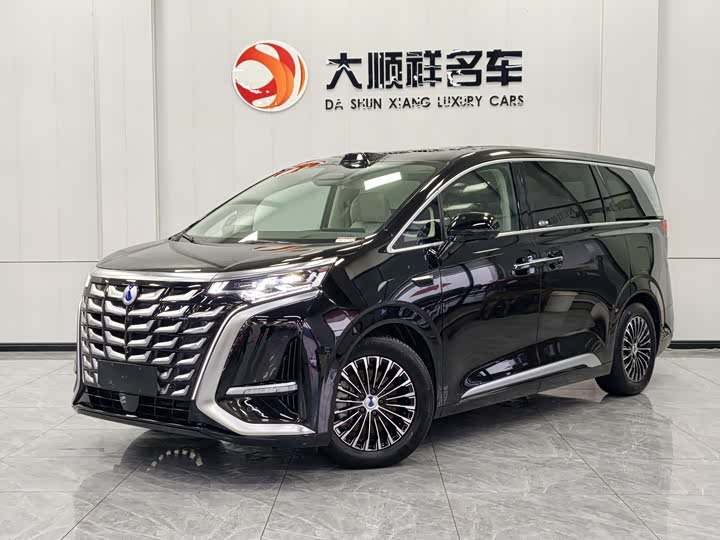 Фото 1 - Denza D9