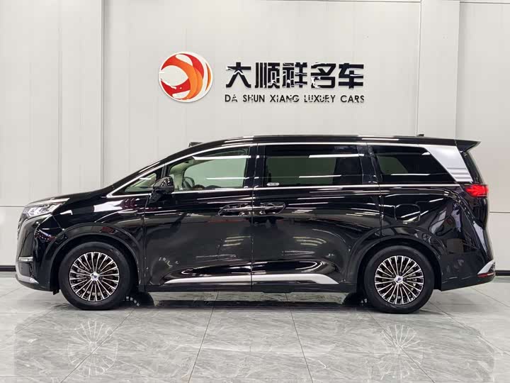 Фото 3 - Denza D9