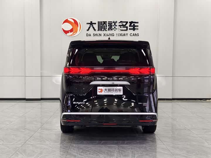 Фото 4 - Denza D9