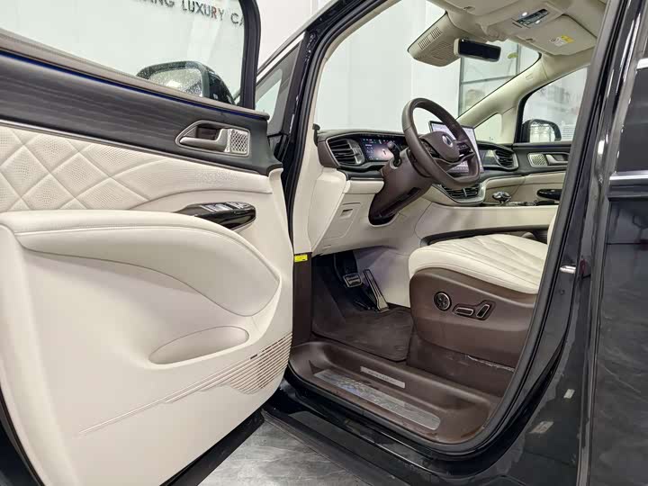 Фото 5 - Denza D9