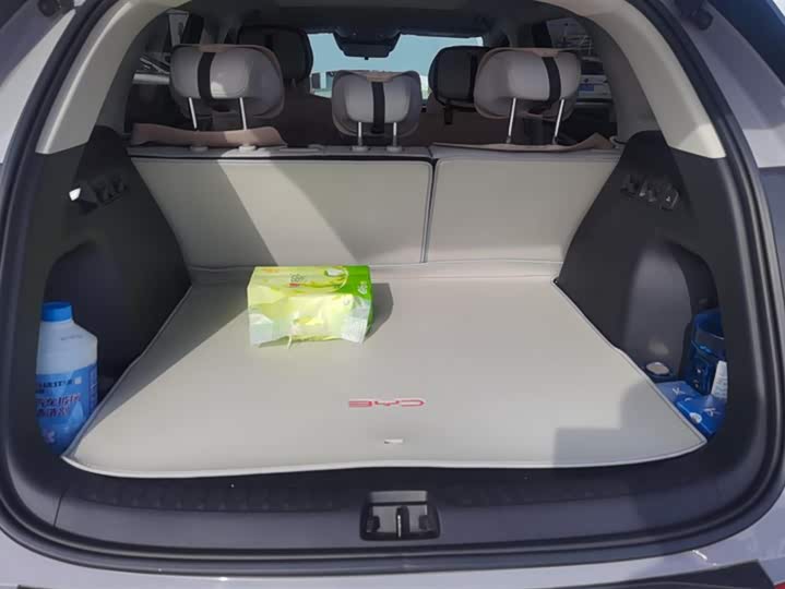 Фото 4 - BYD Sea Lion 05 EV