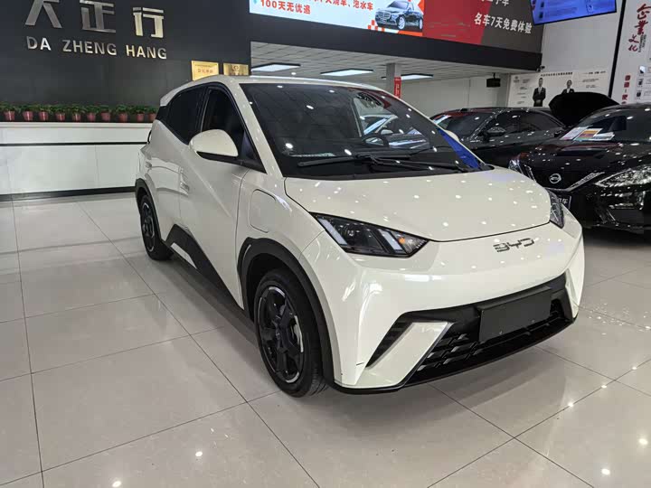 Photo 3 - BYD Seagull