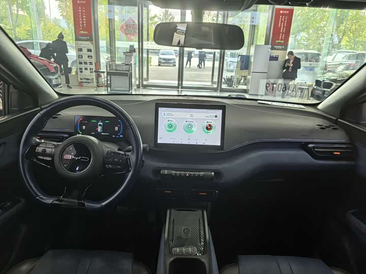 Photo 6 - BYD Seagull