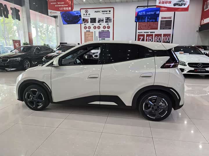 Photo 7 - BYD Seagull