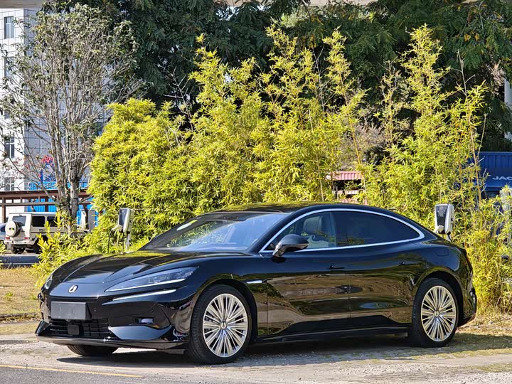 Фото 1 - Denza Z9