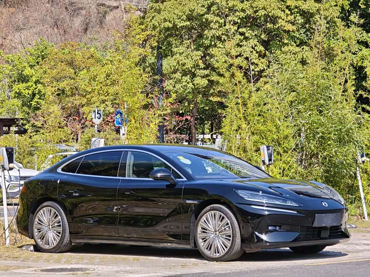 Фото 3 - Denza Z9