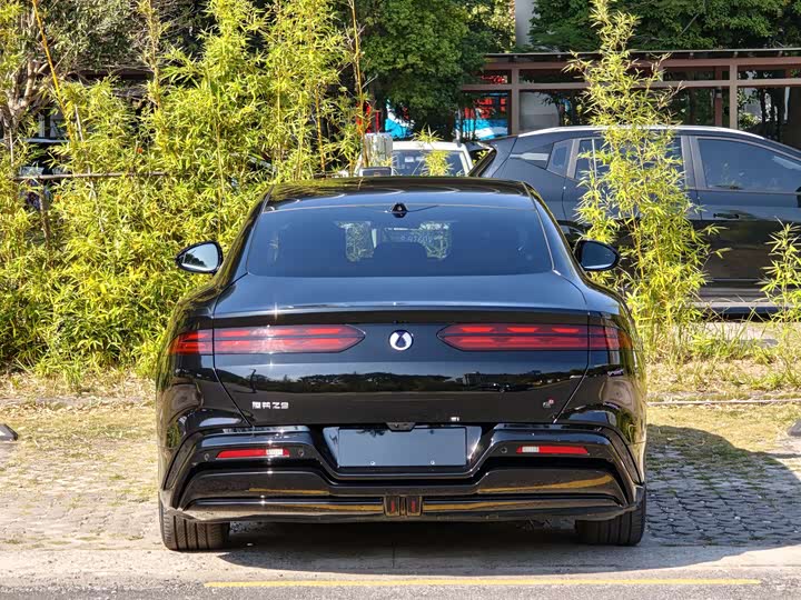 Фото 6 - Denza Z9