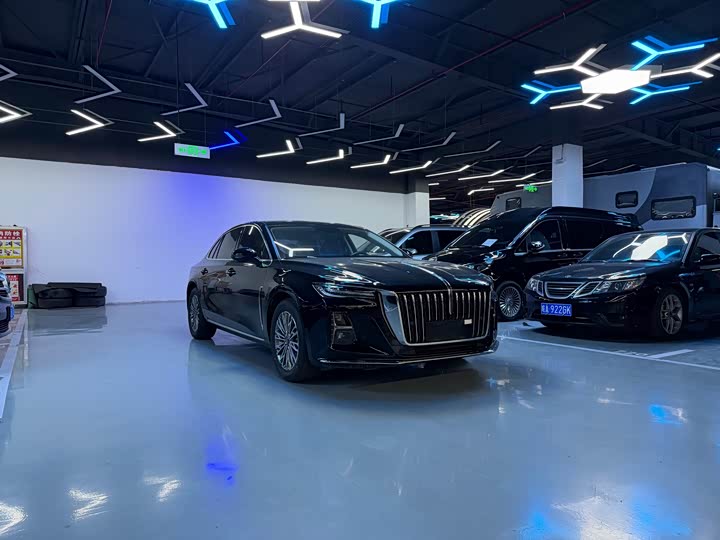 Фото 3 - Hongqi H5