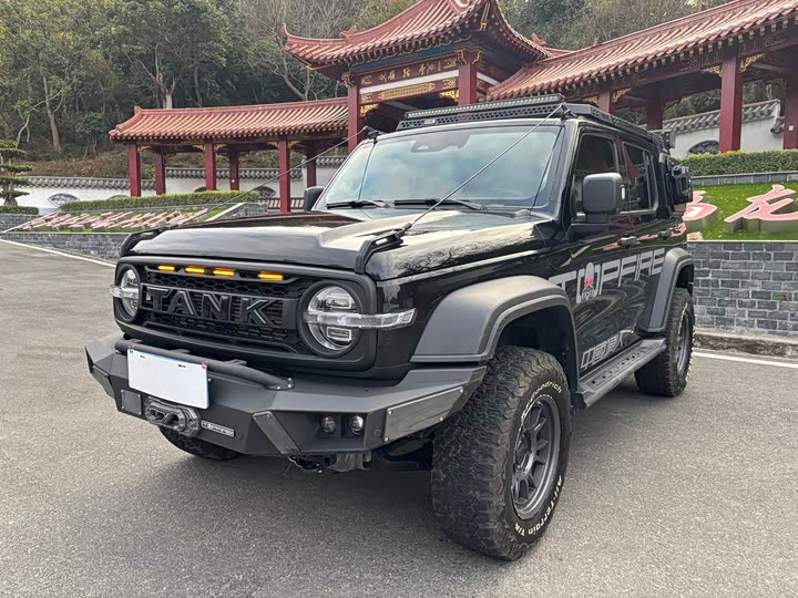 Фото 1 - Tank 300