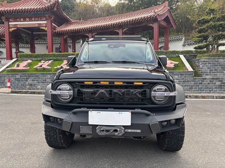 Фото 2 - Tank 300