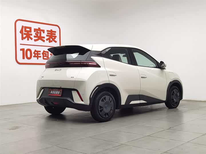 Фото 2 - BYD Seagull