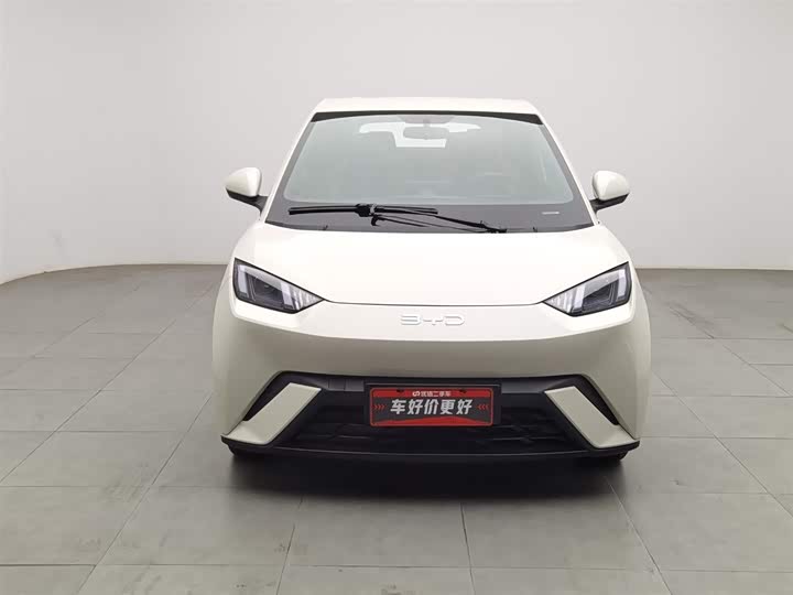 Фото 3 - BYD Seagull