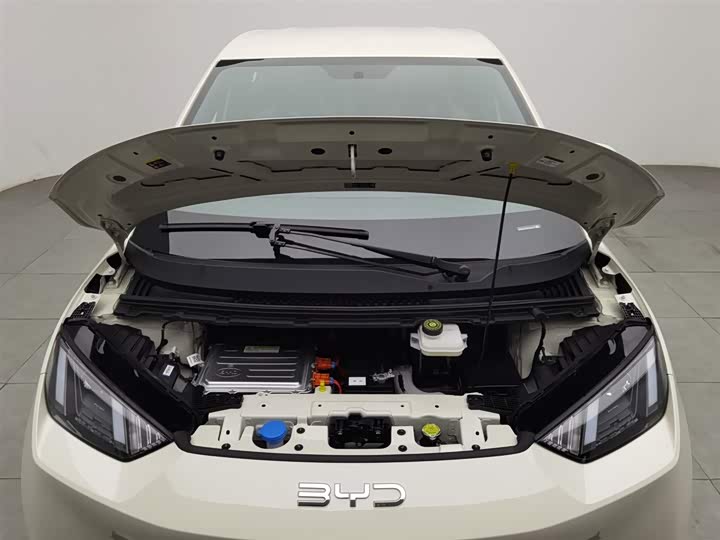 Фото 6 - BYD Seagull