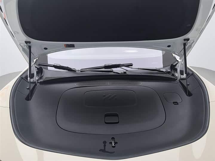 Фото 6 - IM motors LS7