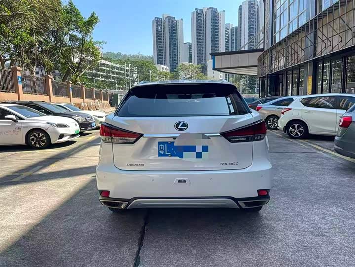 Фото 8 - Lexus RX