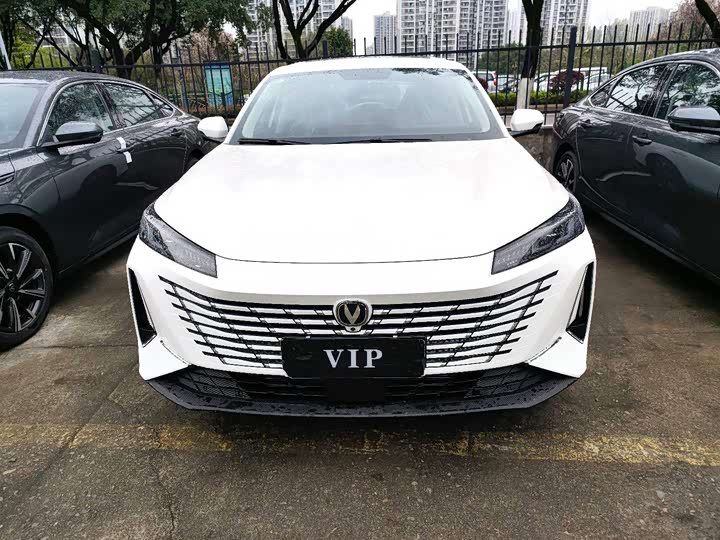 Фото 2 - Changan Eado Plus