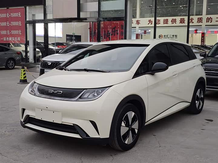 Фото 1 - BYD Dolphin