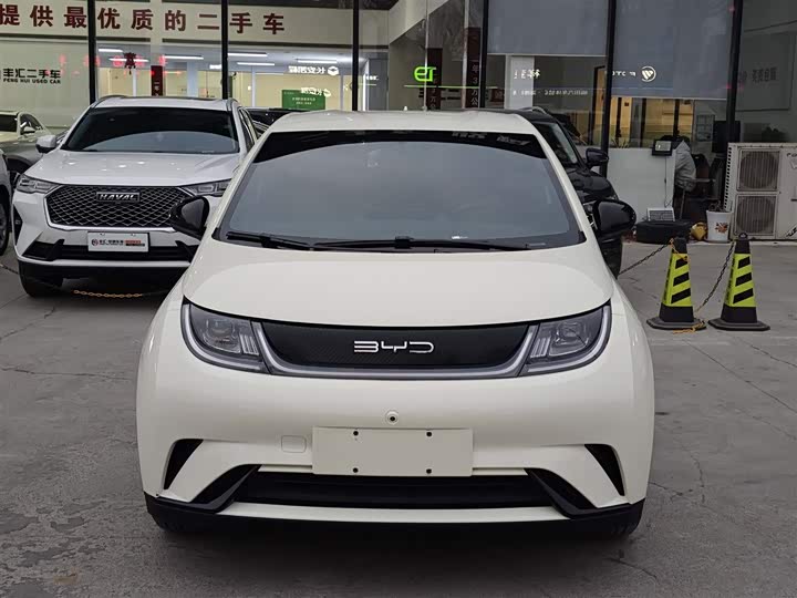 Фото 2 - BYD Dolphin