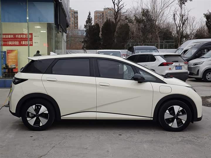 Фото 3 - BYD Dolphin