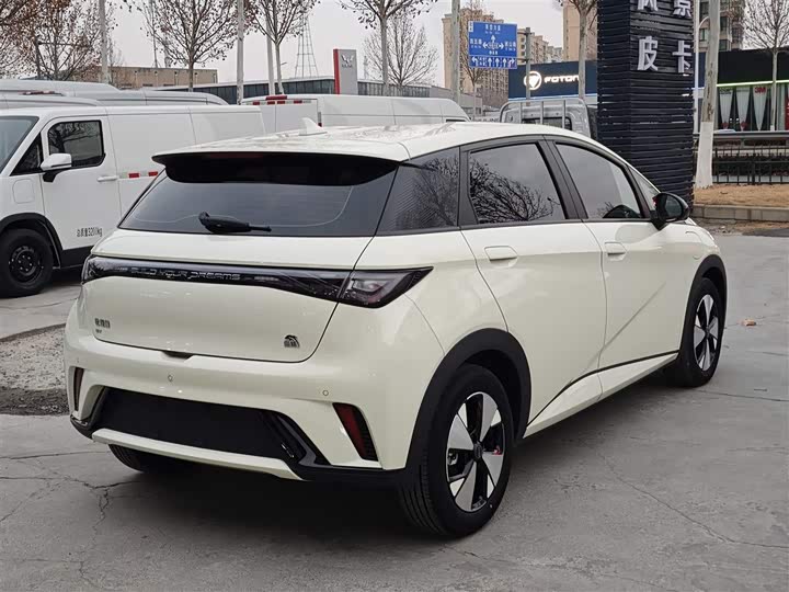 Фото 4 - BYD Dolphin