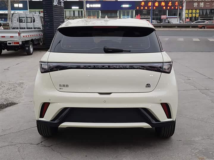 Фото 5 - BYD Dolphin