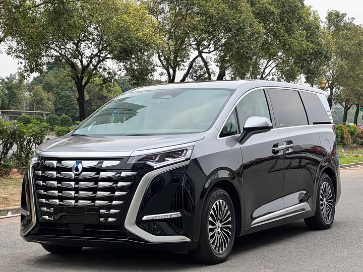 Фото 1 - Denza D9