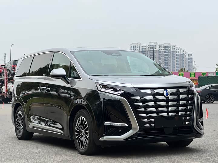 Фото 2 - Denza D9