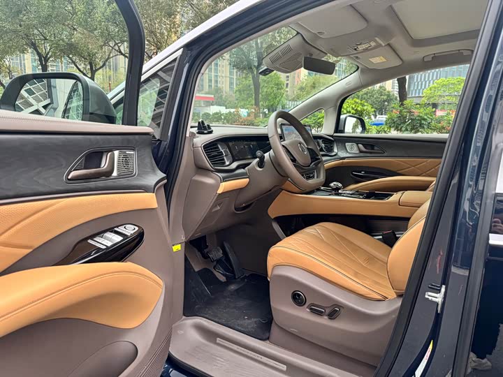 Фото 4 - Denza D9