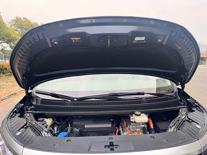 Фото 8 - Denza D9