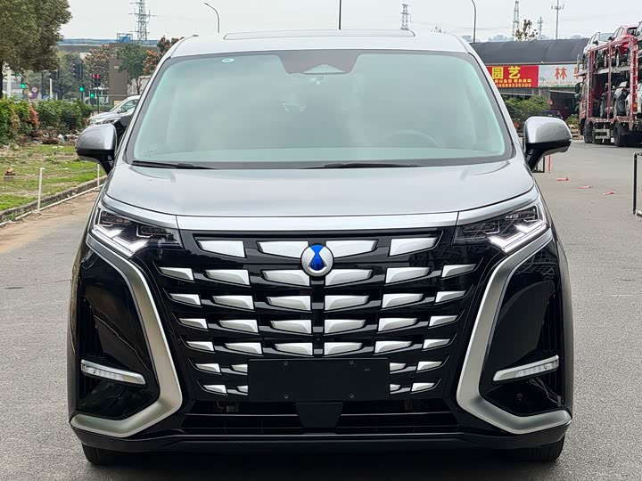 Фото 9 - Denza D9