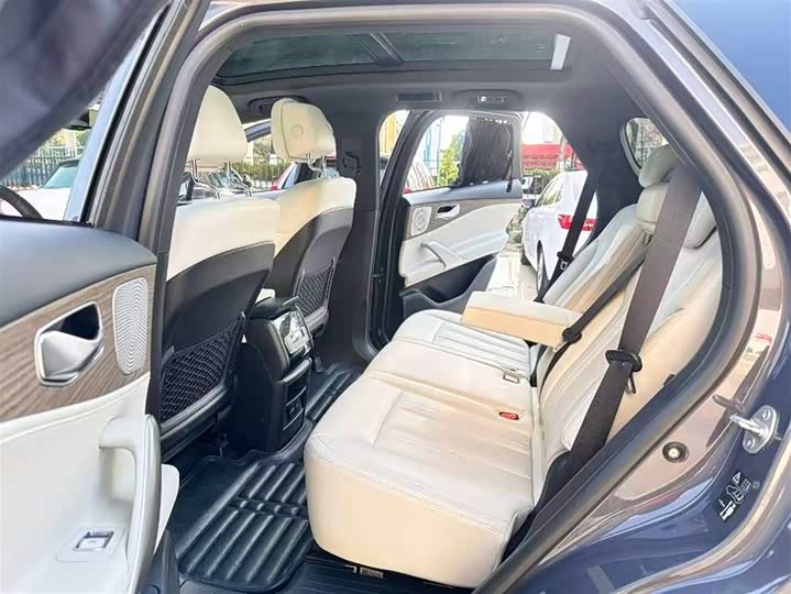 Фото 8 - Denza X