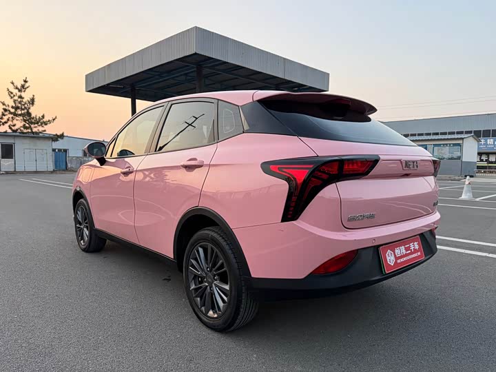 Фото 4 - Hozon V