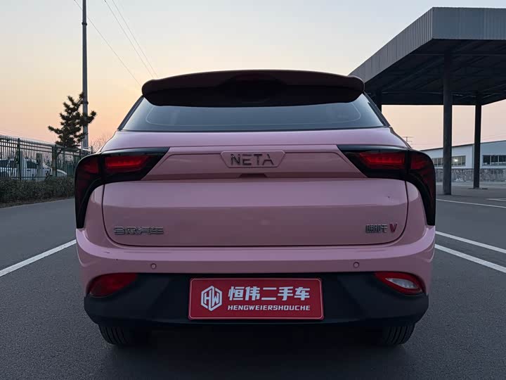 Фото 5 - Hozon V