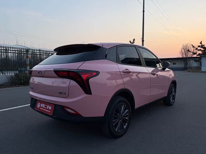 Фото 6 - Hozon V