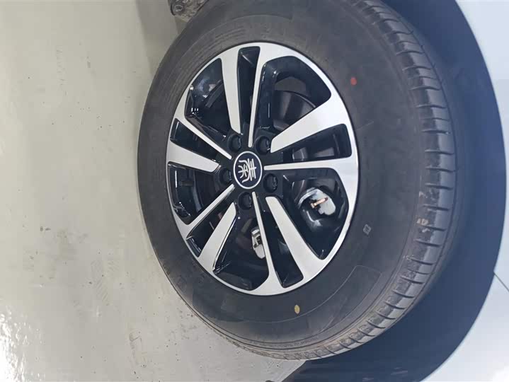 Фото 6 - BYD Qin Plus