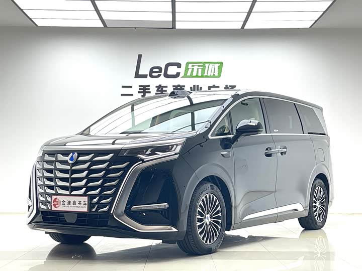 Фото 1 - Denza D9